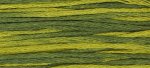 (image for) Bullfrog